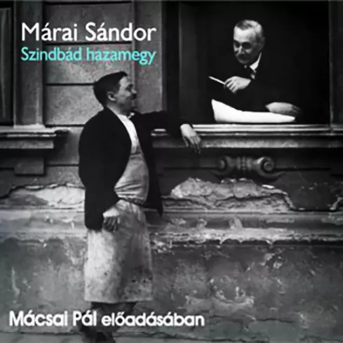 Szindbád hazamegy borító