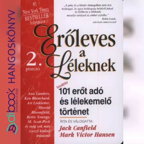 Erőleves a léleknek 2. borító