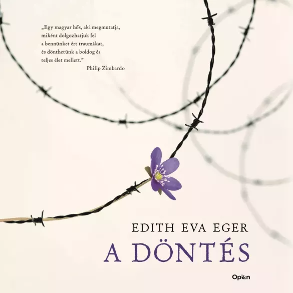 A döntés borító
