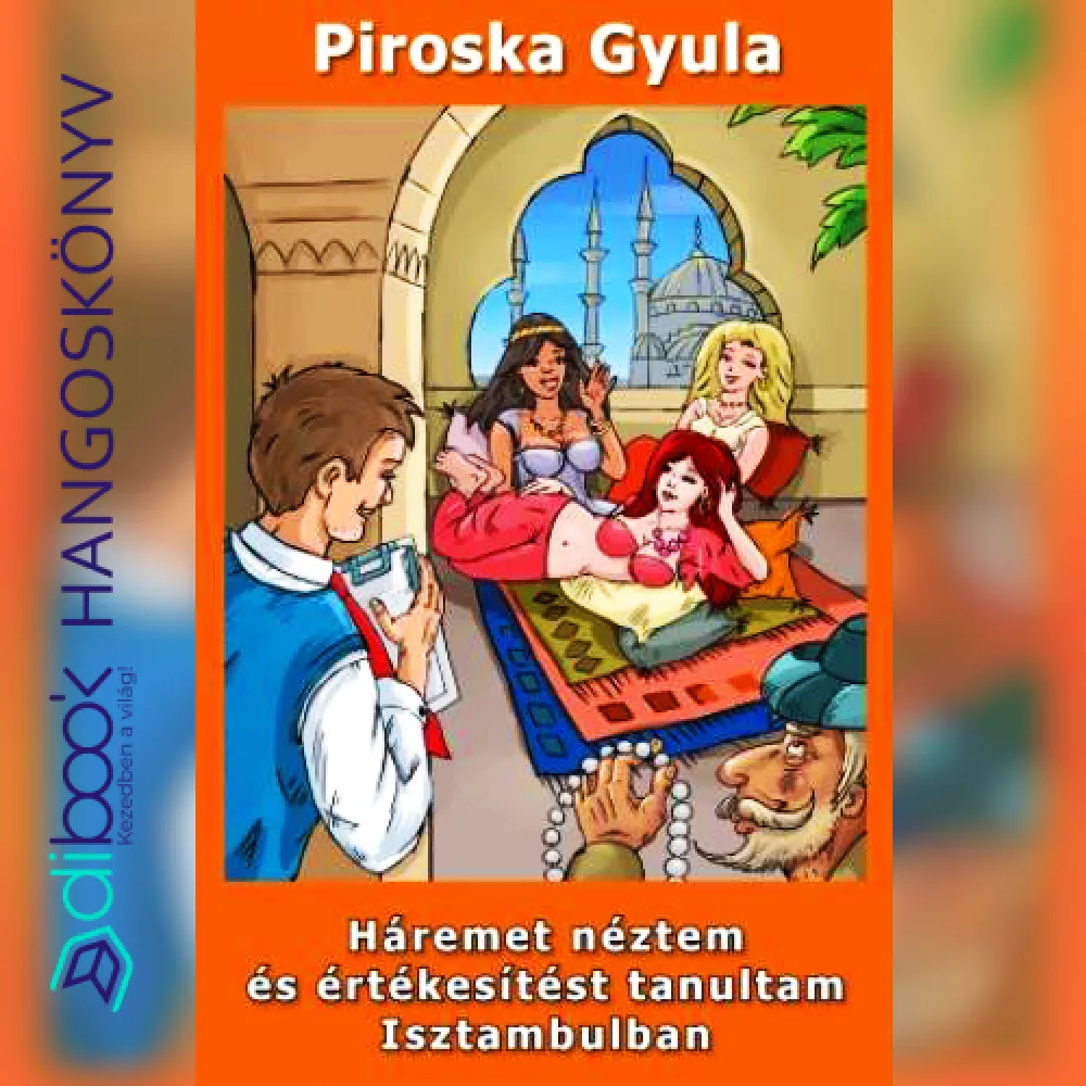 Háremet néztem és értékesítést tanultam Isztambulban borító