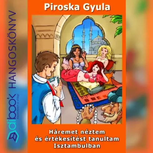 Háremet néztem és értékesítést tanultam Isztambulban borító