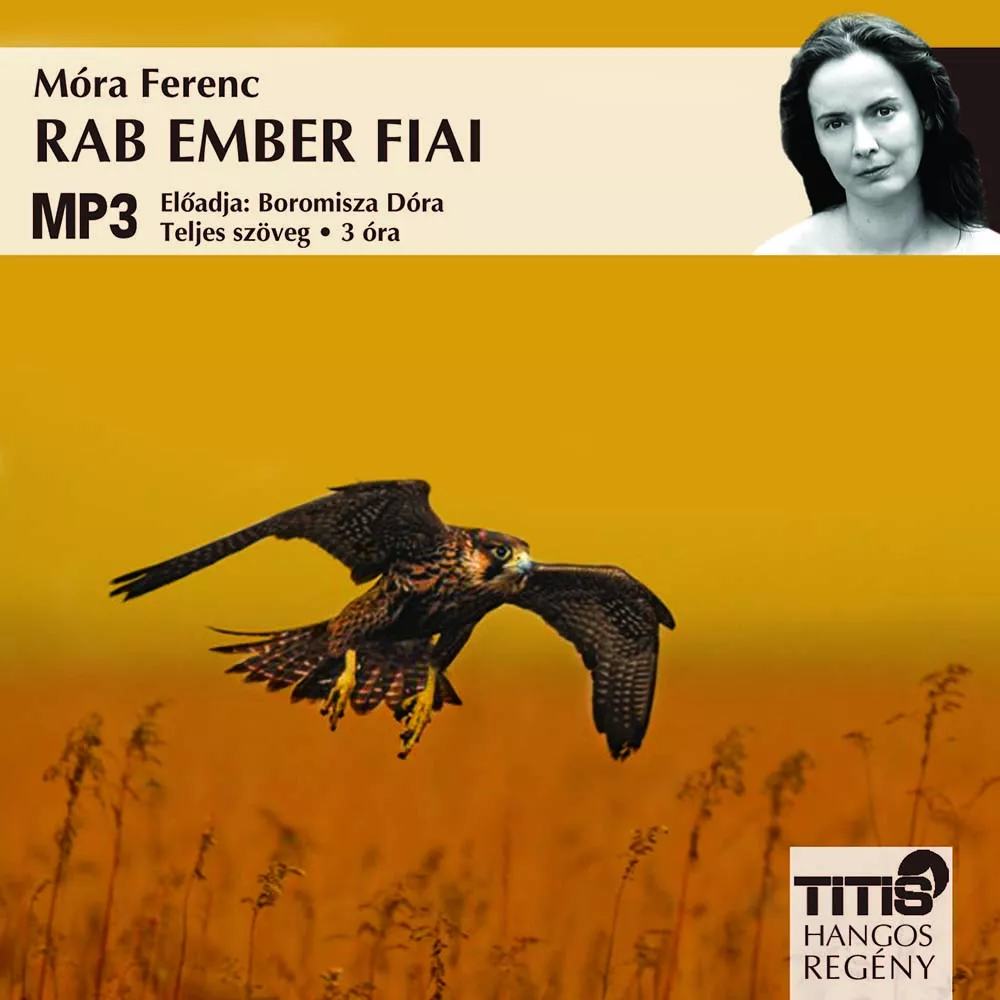 Rab ember fiai borító