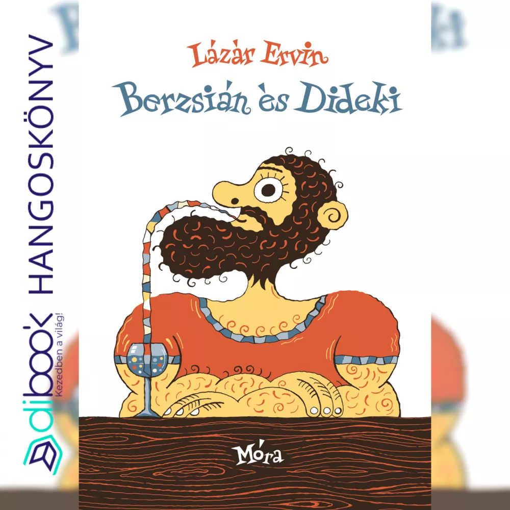 Berzsián és Dideki borító