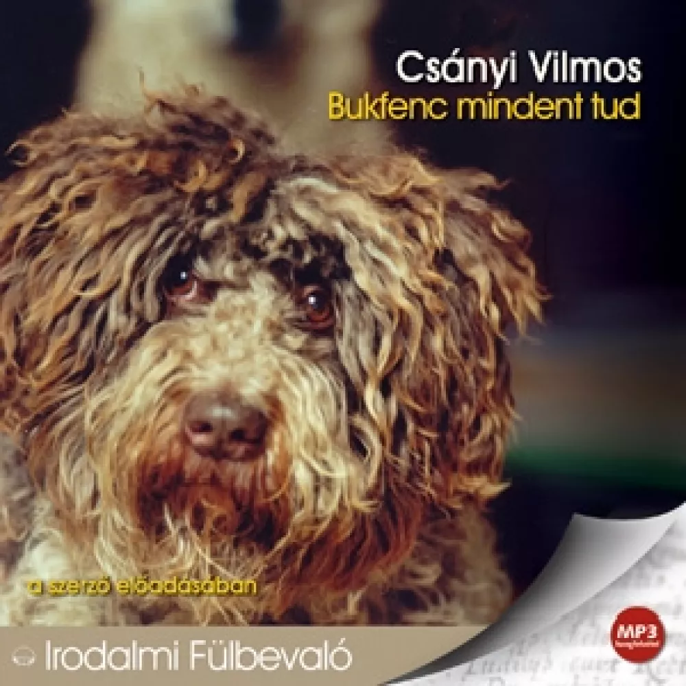 Bukfenc mindent tud borító