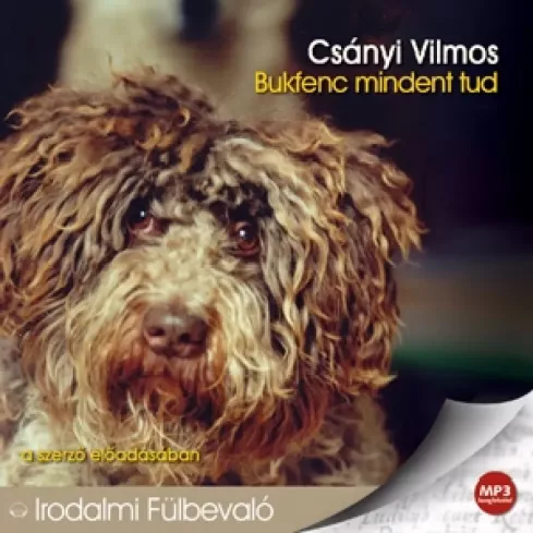 Bukfenc mindent tud borító