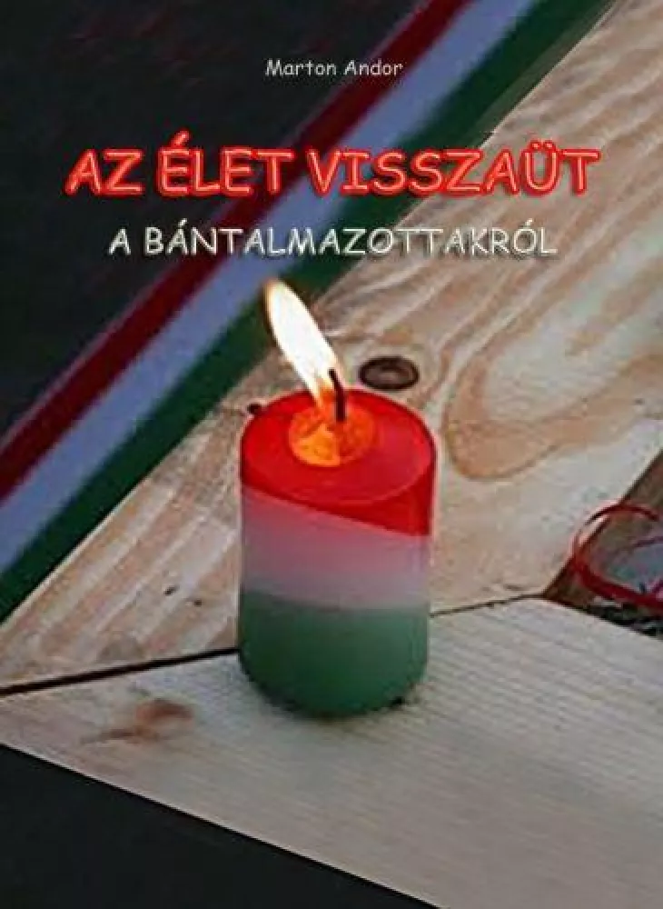 Az élet visszaüt borító
