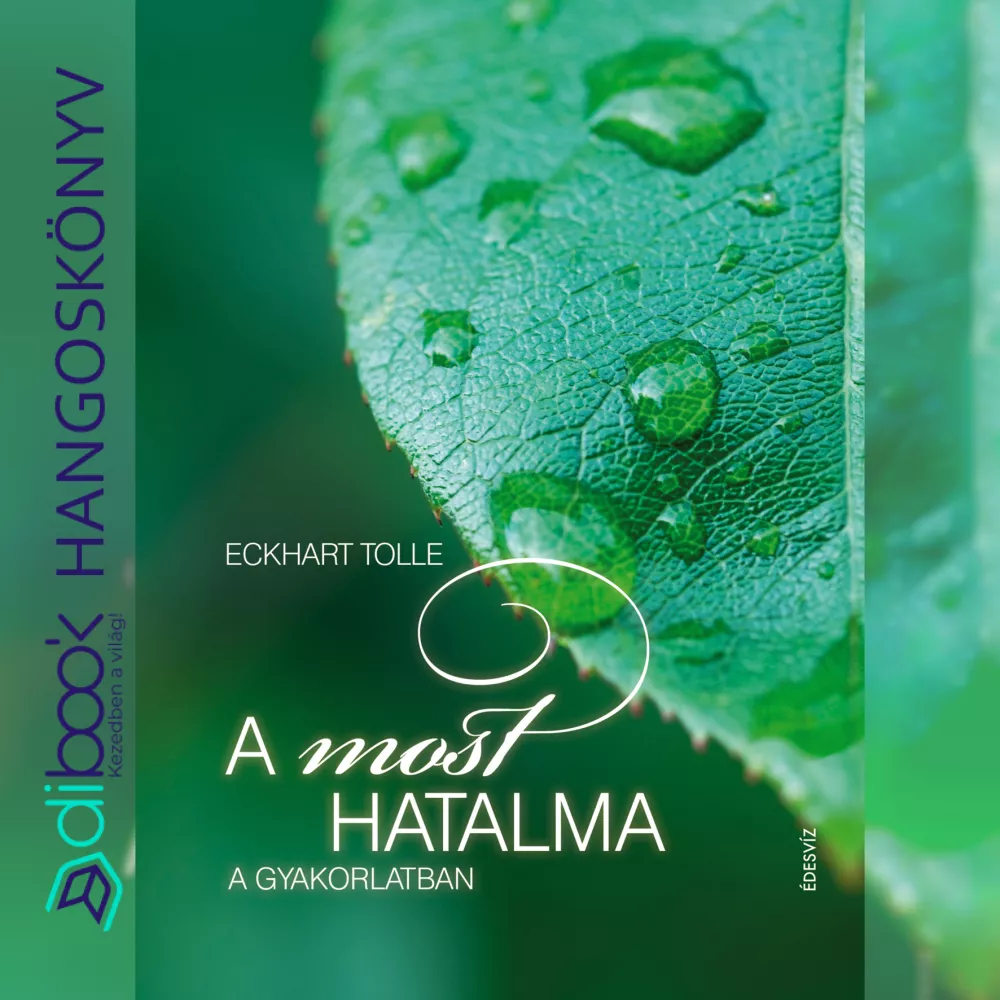 A most hatalma a gyakorlatban borító