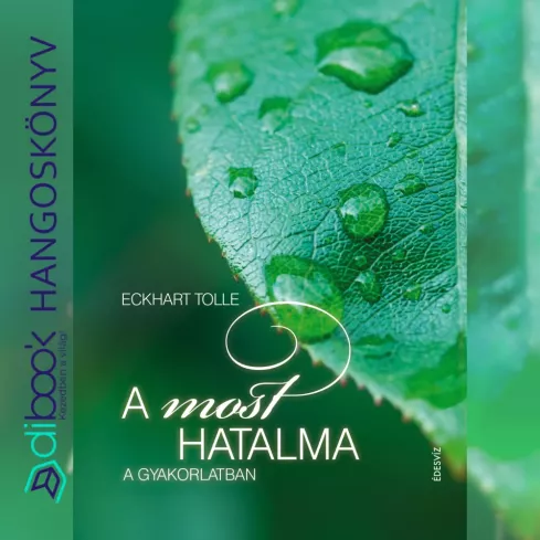 A most hatalma a gyakorlatban borító