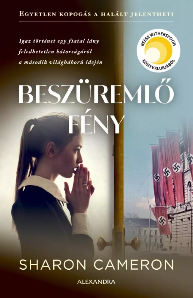Beszüremlő fény borító