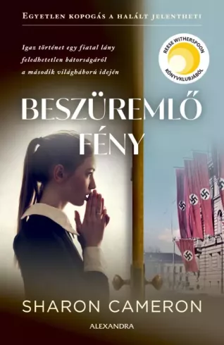 Beszüremlő fény borító
