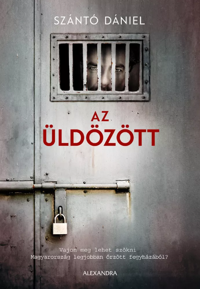Az üldözött borító