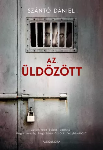 Az üldözött borító