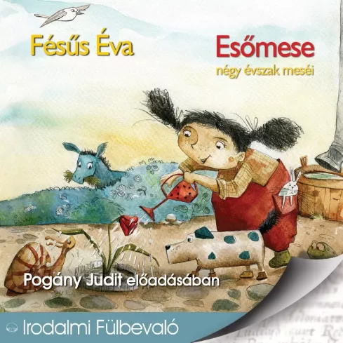 Esőmese borító
