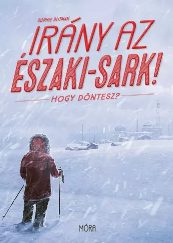 Irány az Északi-sark borító