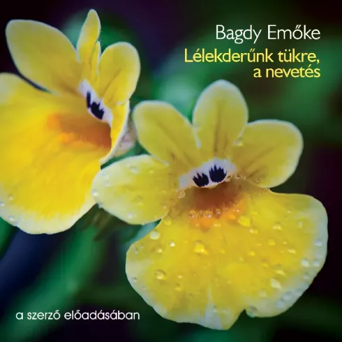 Lélekderűnk tükre, a nevetés borító