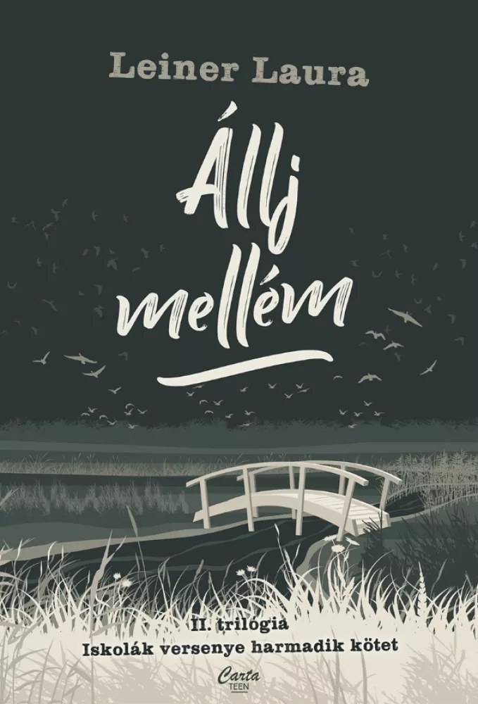 Állj mellém borító