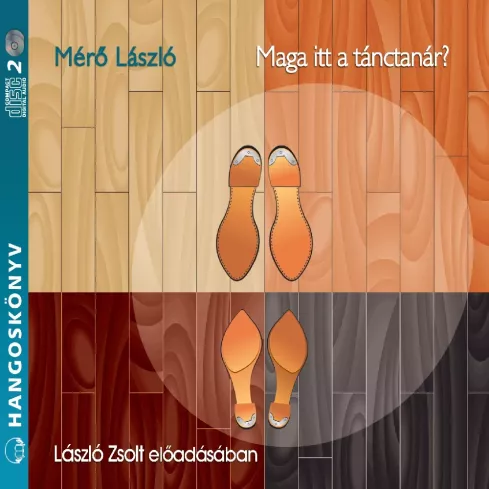 Maga itt a tánctanár borító