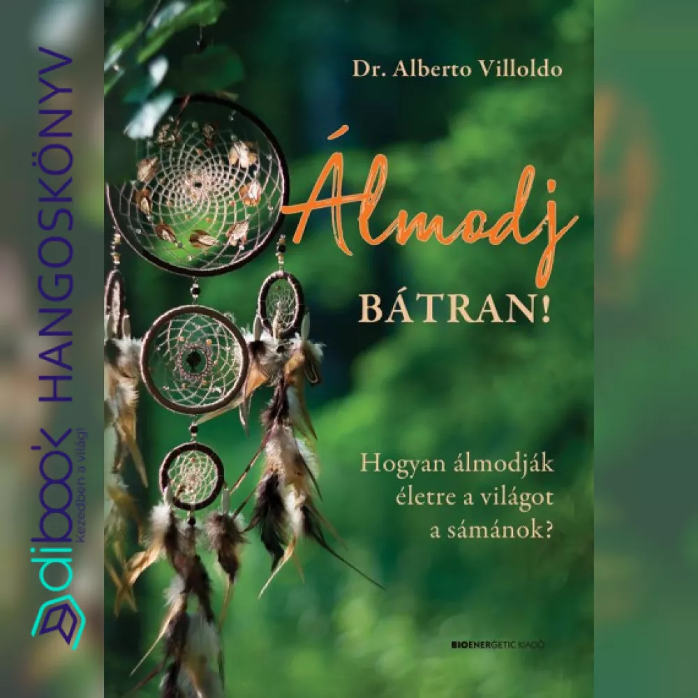 Álmodj bátran! borító