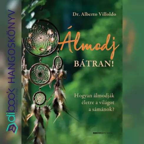 Álmodj bátran! borító