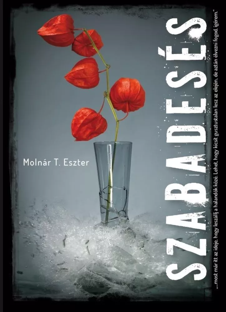 Szabadesés borító