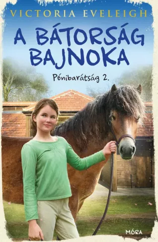 A bátorság bajnoka borító