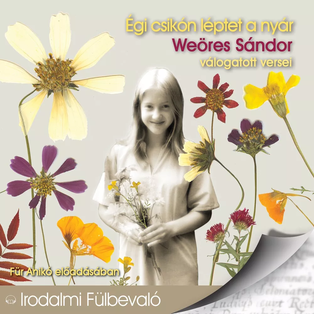 Égi csikón léptet a nyár borító