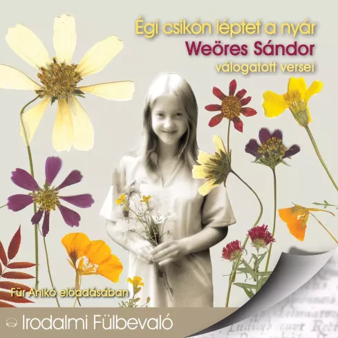 Égi csikón léptet a nyár borító