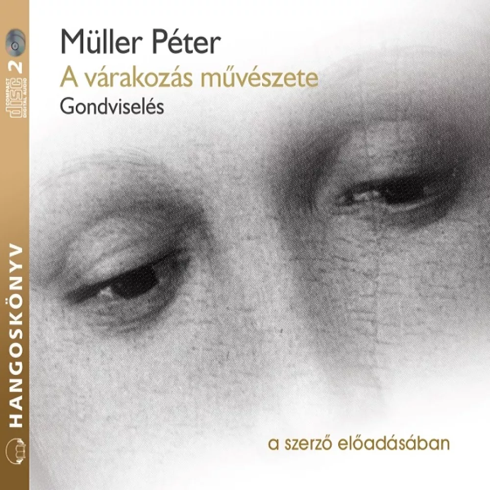 A várakozás művészete borító