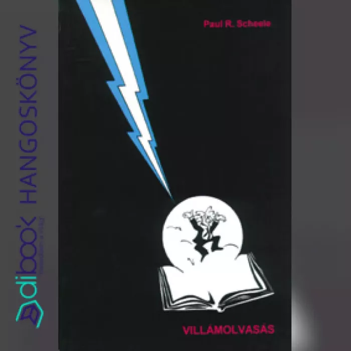 Villámolvasás borító