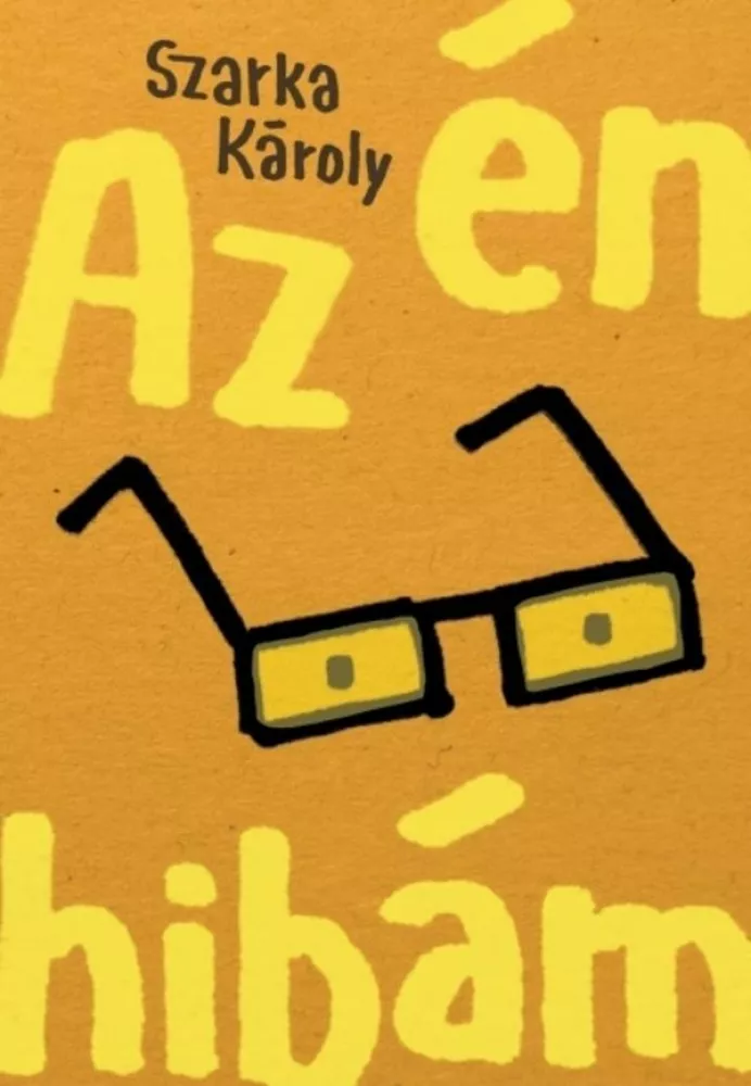 Az én hibám borító