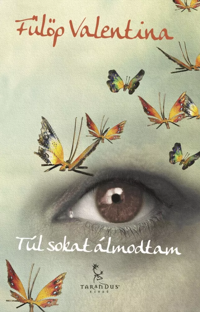 Túl sokat álmodtam borító