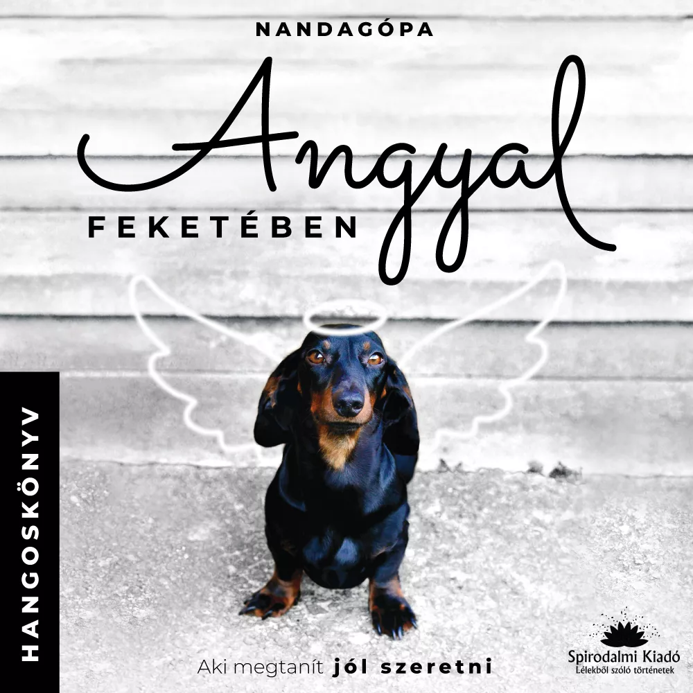 Angyal feketében borító
