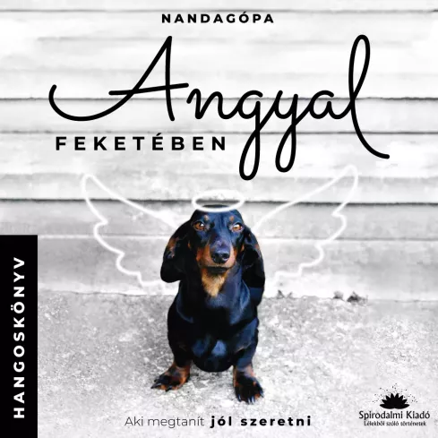 Angyal feketében borító