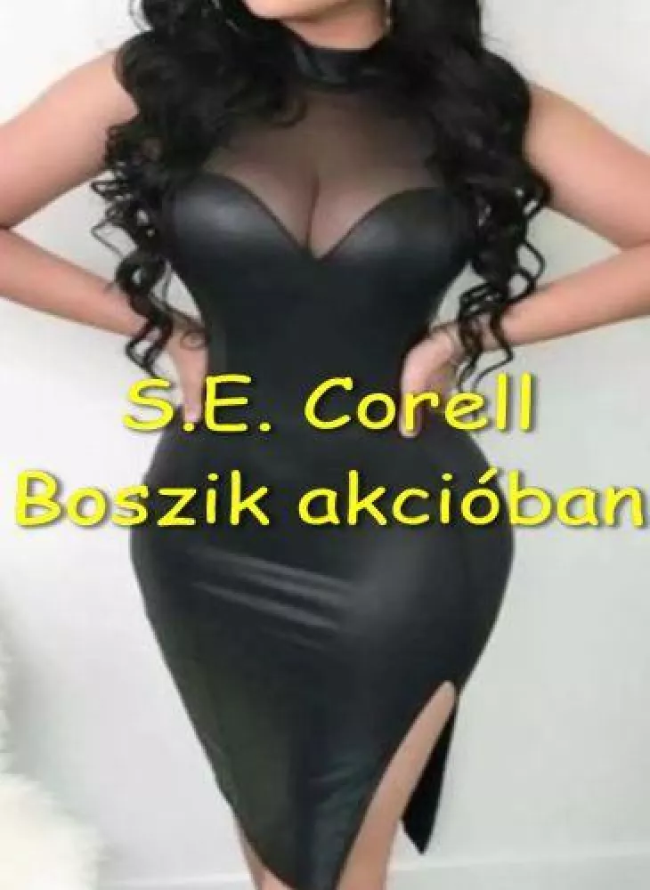 Boszik akcióban borító