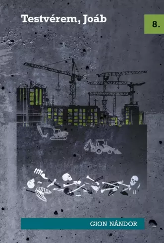 Testvérem, Joáb borító