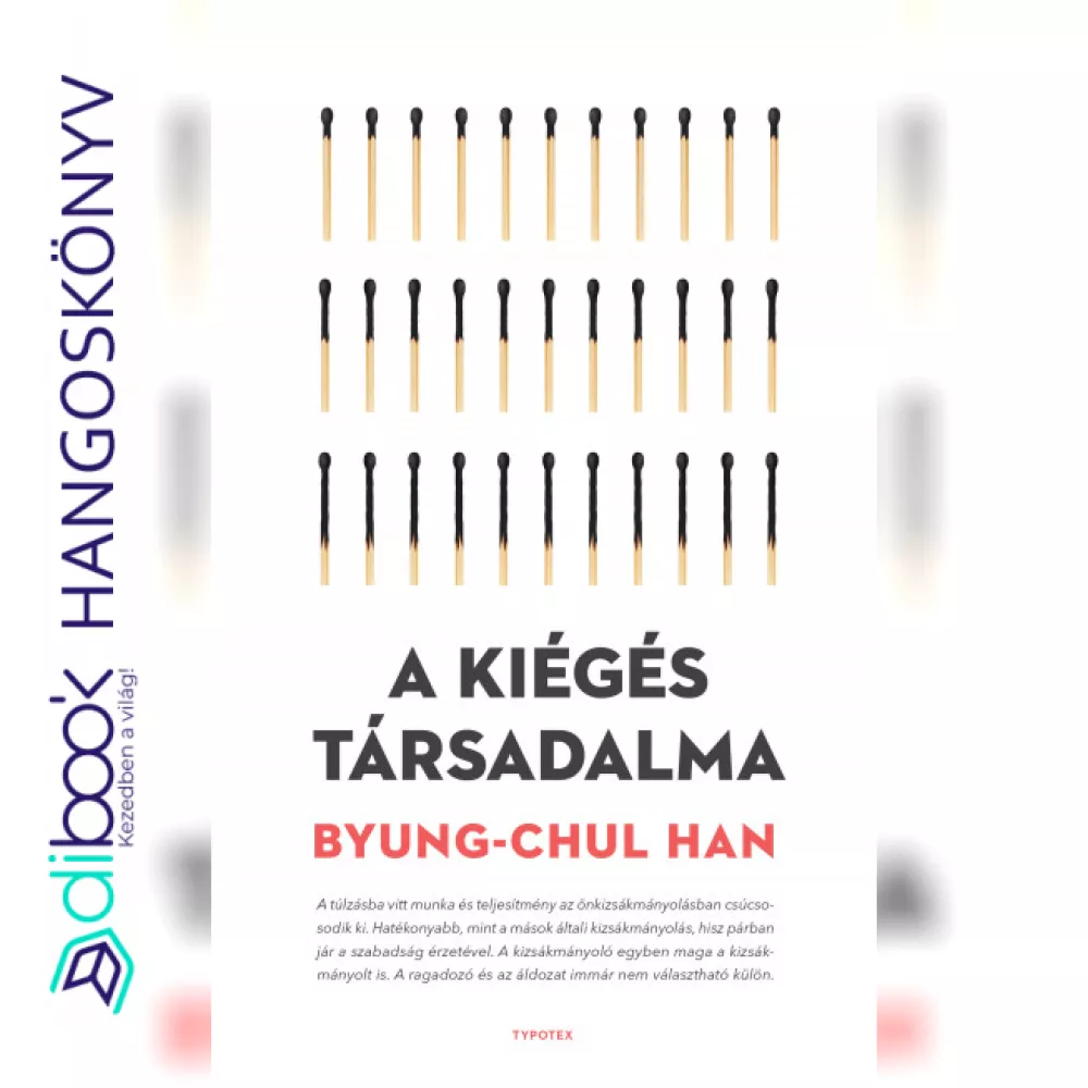 A kiégés társadalma borító