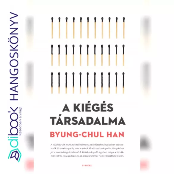 A kiégés társadalma borító