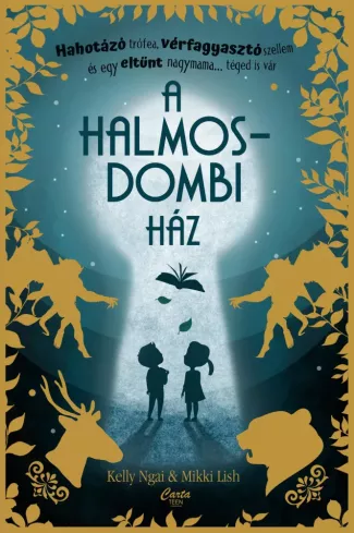 A halmosdombi ház borító