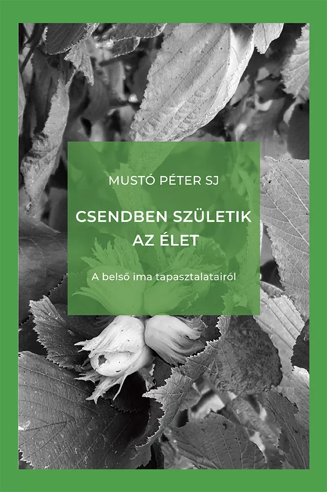 Csendben születik az élet borító