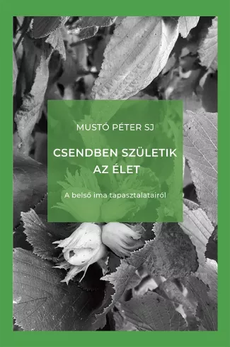 Csendben születik az élet borító