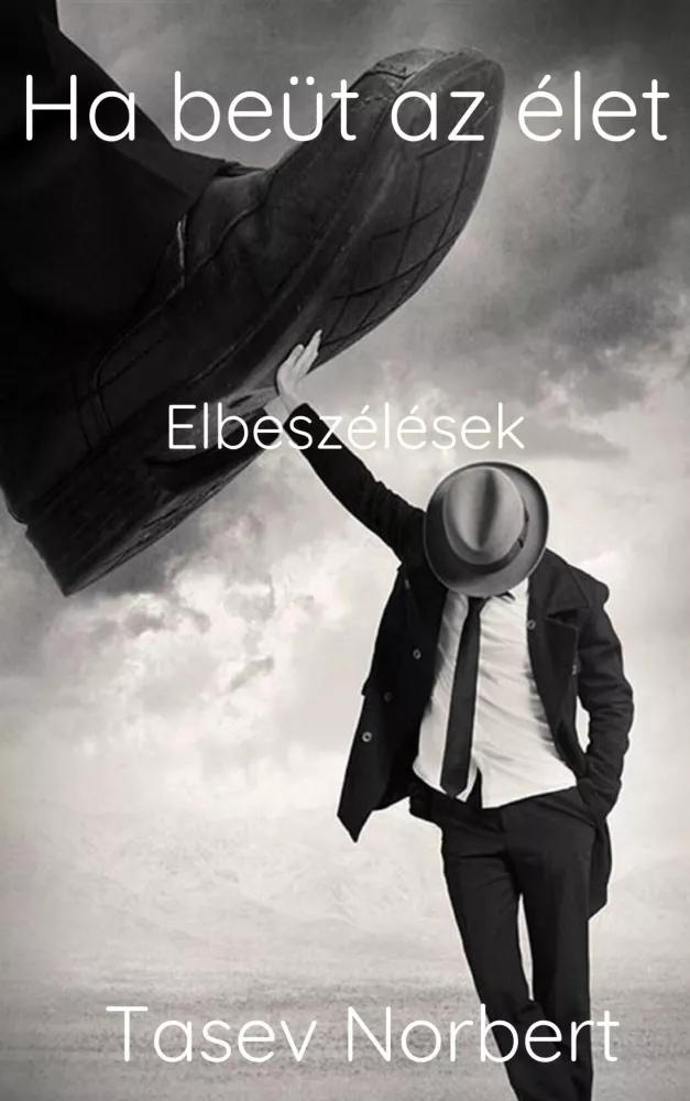 Ha beüt az élet borító