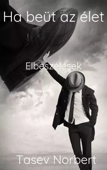 Ha beüt az élet borító