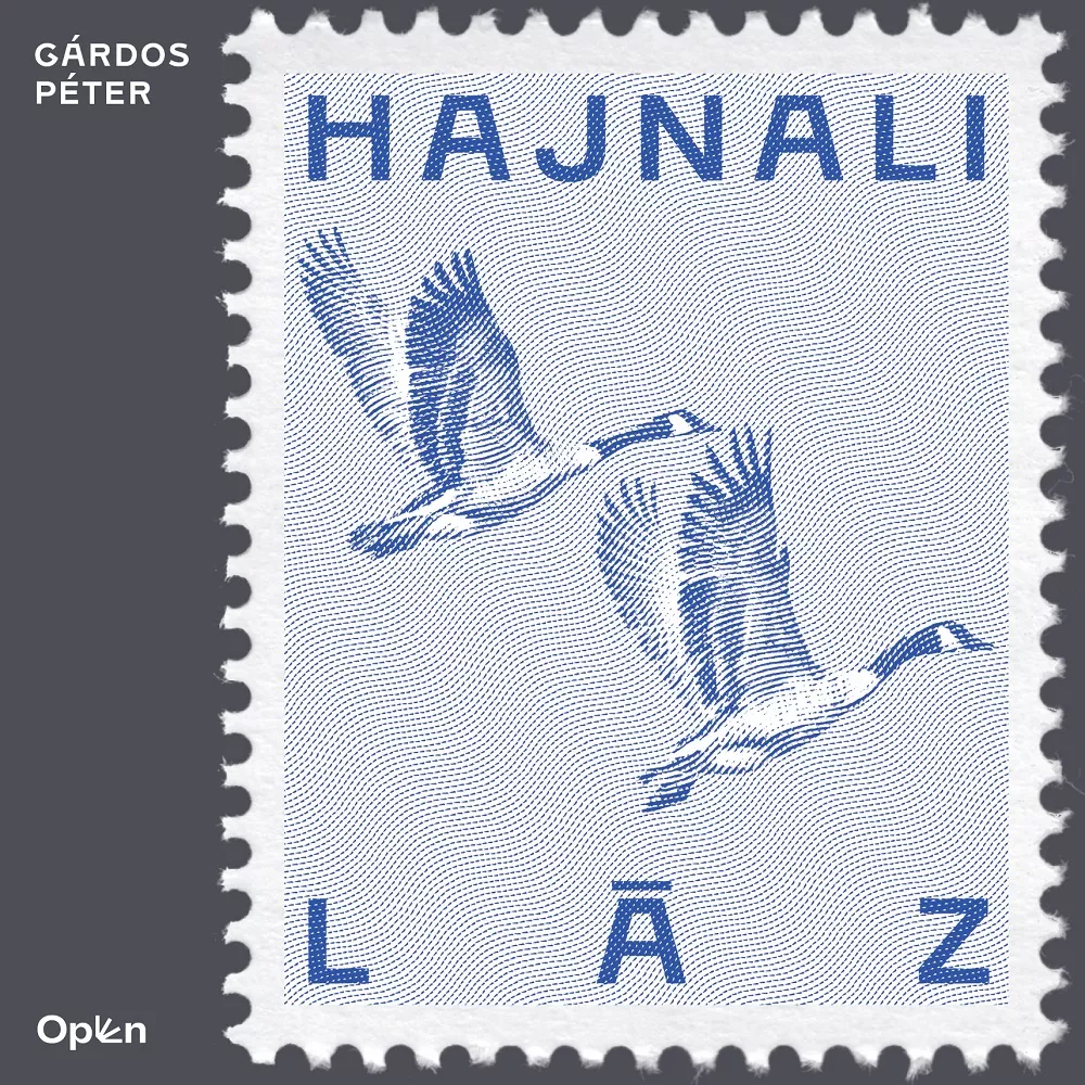 Hajnali láz borító