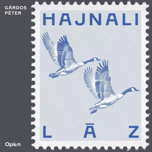 Hajnali láz borító