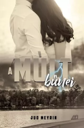 A múlt bűnei borító