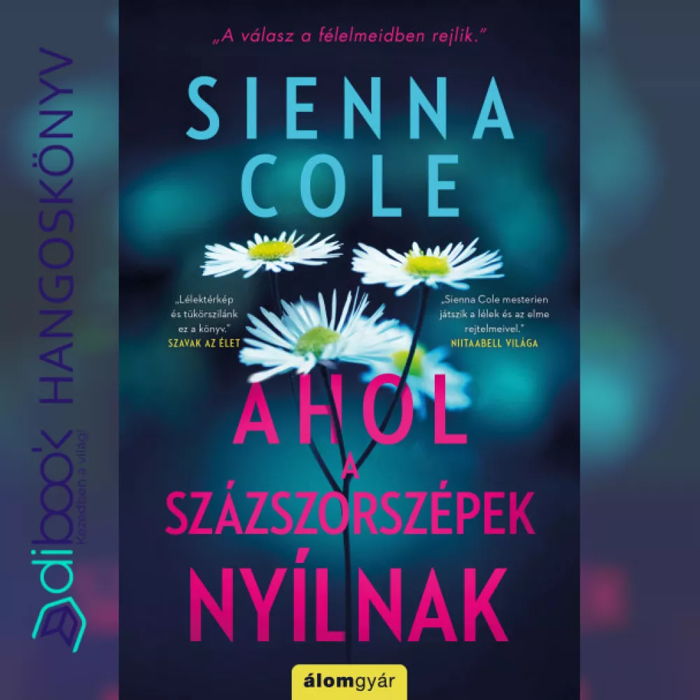 Ahol a százszorszépek nyílnak borító