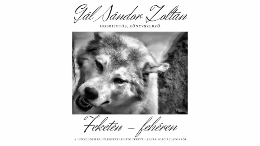 Feketén - fehéren borító