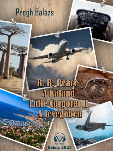 A levegőben borító