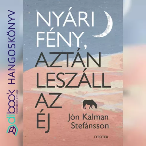 Nyári fény, aztán leszáll az éj borító