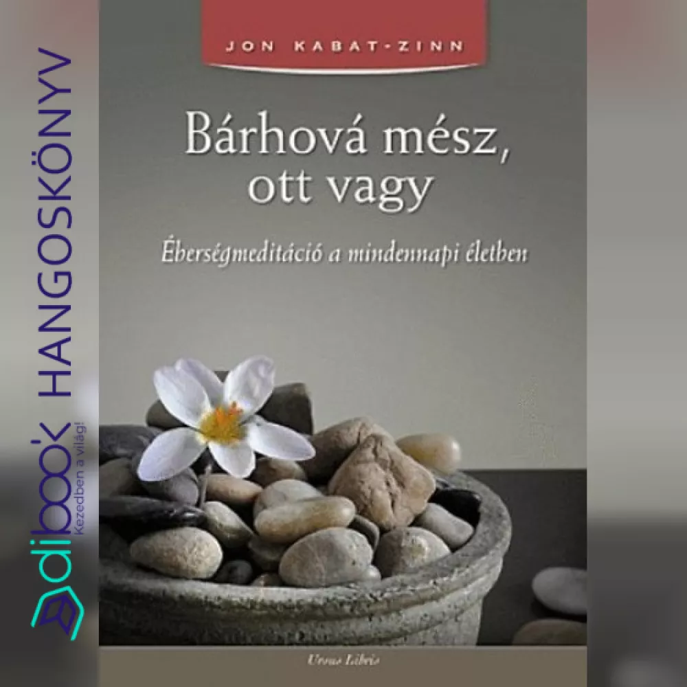 Bárhová mész, ott vagy borító